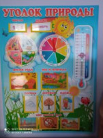 Интерактивный уголок природы Интерактивный уголок природы.